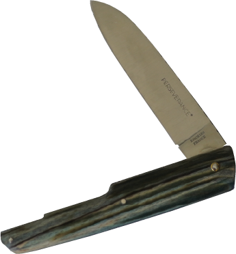 Couteau Laguiole en bois exotique marqué PERSEVERANCE